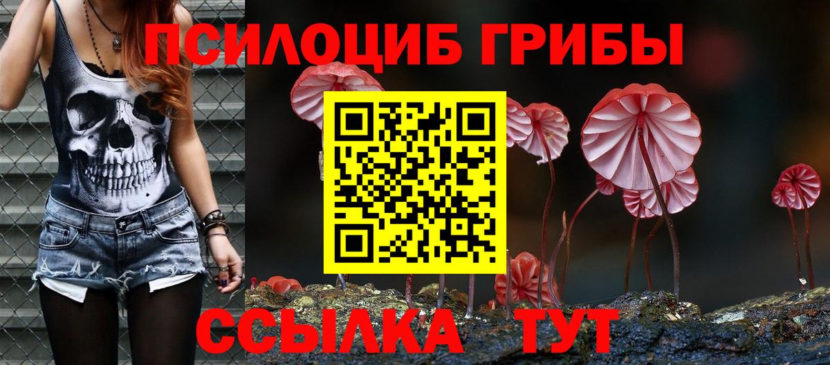 Галлюциногенные грибы прущие грибы  Вход с VPN  Менделеевск 